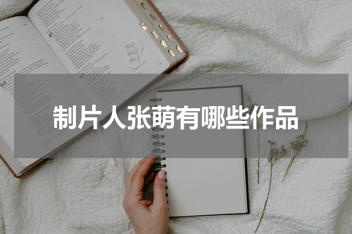 制片人张萌有哪些作品