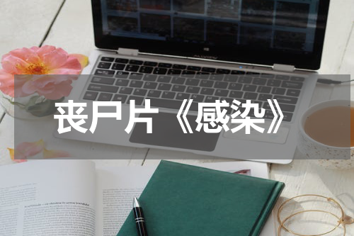 丧尸片《感染》