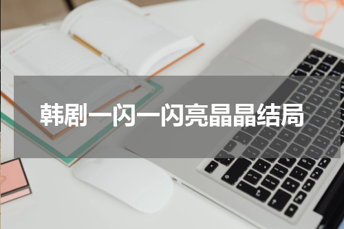 韩剧一闪一闪亮晶晶结局