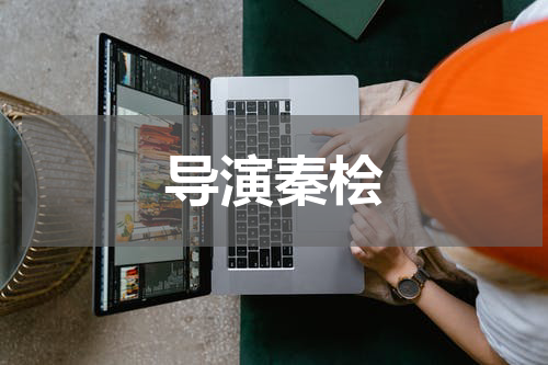 导演秦桧