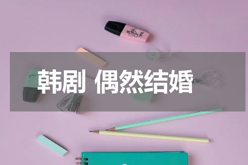 韩剧 偶然结婚