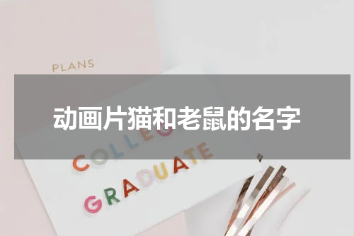 动画片猫和老鼠的名字