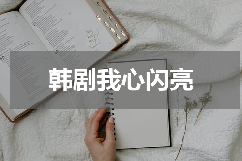 韩剧我心闪亮
