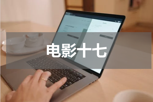 电影十七