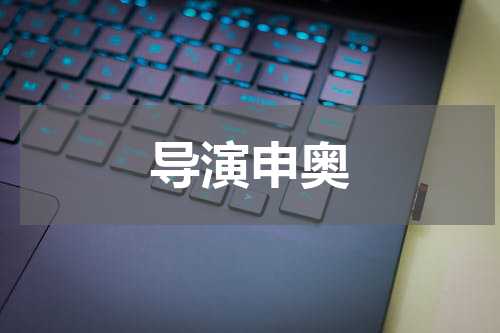 导演申奥