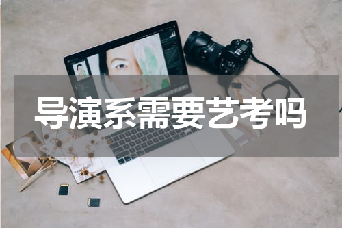 导演系需要艺考吗