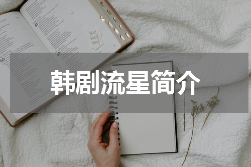 韩剧流星简介