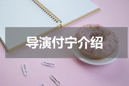 导演付宁介绍