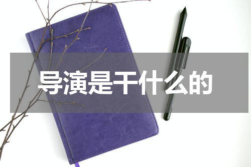 导演是干什么的