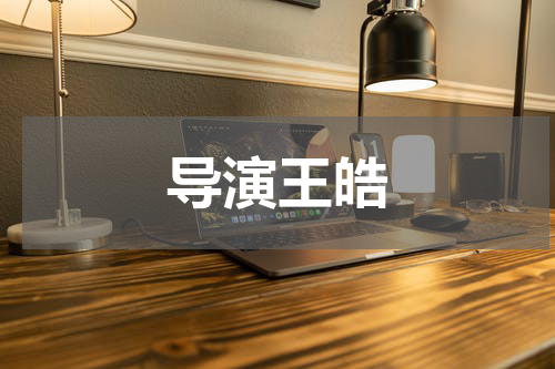 导演王皓