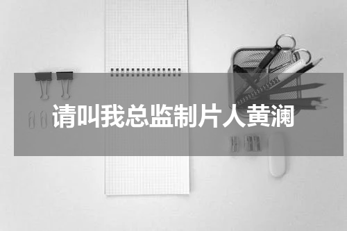 请叫我总监制片人黄澜 制片人黄澜怎么去燕电视剧