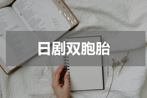日剧双胞胎