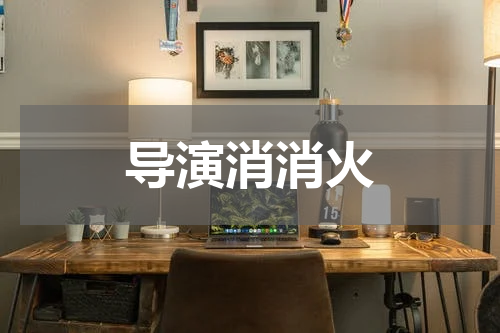 导演消消火