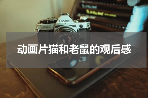 动画片猫和老鼠的观后感