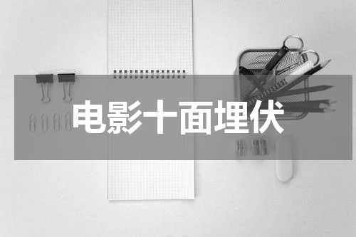 电影十面埋伏