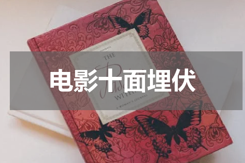 电影十面埋伏