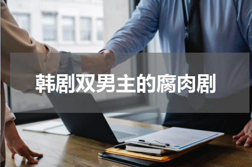 韩剧双男主的腐肉剧