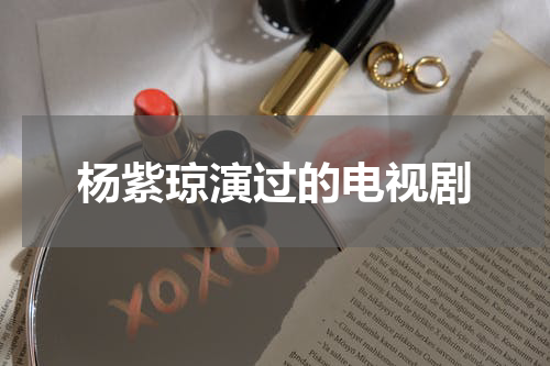 杨紫琼演过的电视剧