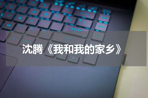 沈腾《我和我的家乡》