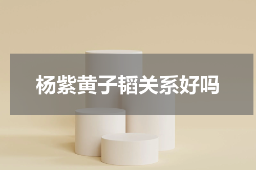 杨紫黄子韬关系好吗