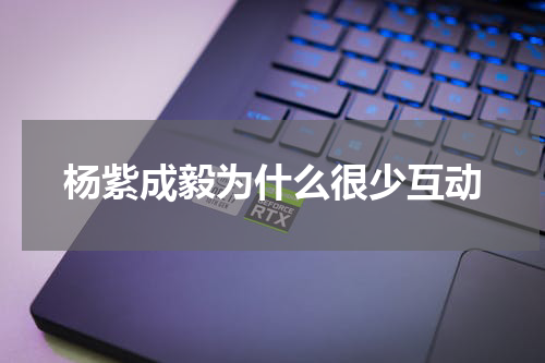 杨紫成毅为什么很少互动