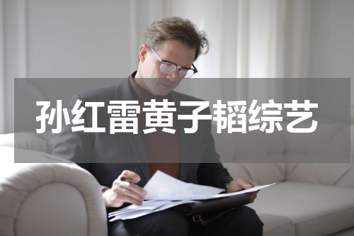 孙红雷黄子韬综艺