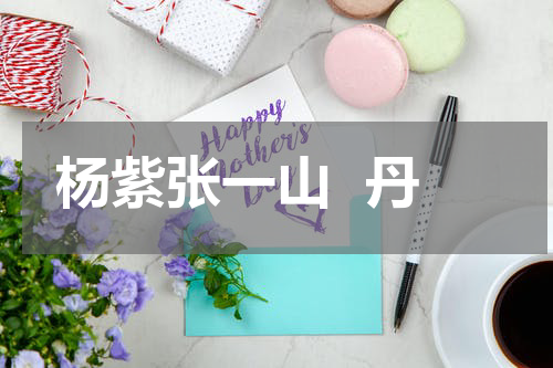 杨紫张一山  丹