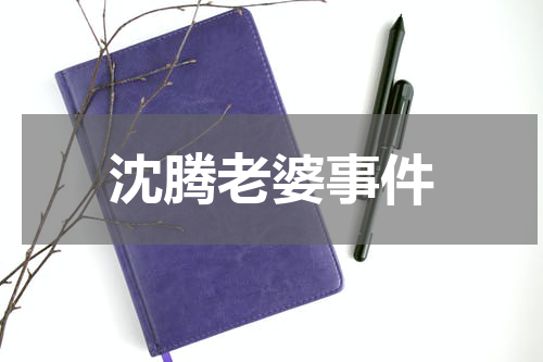 沈腾老婆事件
