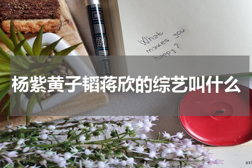 杨紫黄子韬蒋欣的综艺叫什么