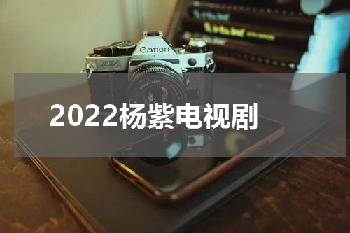2022杨紫电视剧