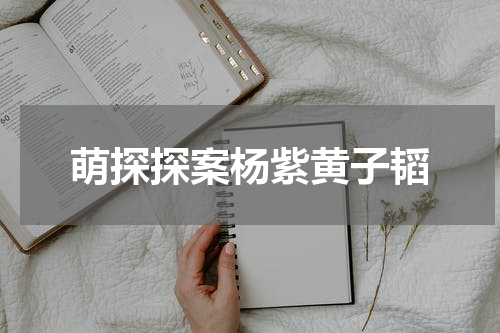 萌探探案杨紫黄子韬