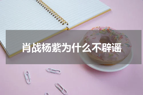 肖战杨紫为什么不辟谣