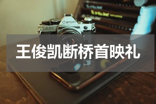 王俊凯断桥首映礼