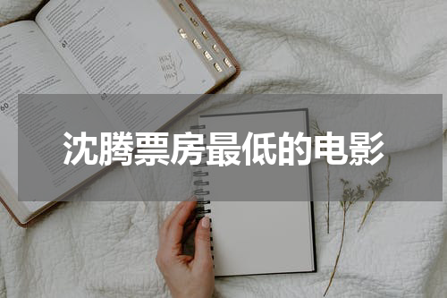 沈腾票房最低的电影