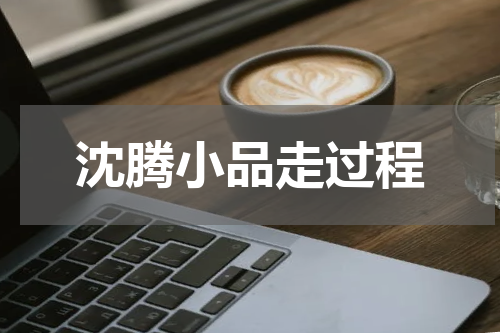 沈腾小品走过程