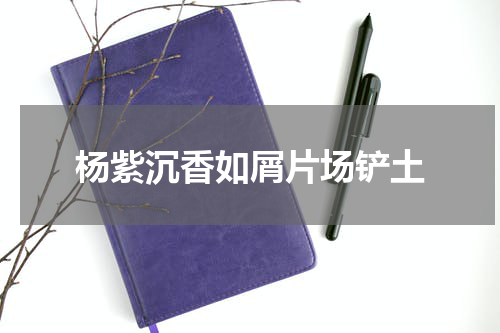 杨紫沉香如屑片场铲土