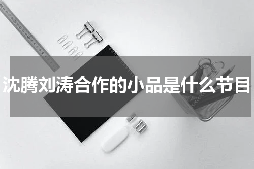 沈腾刘涛合作的小品是什么节目