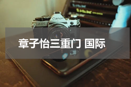 章子怡三重门 国际