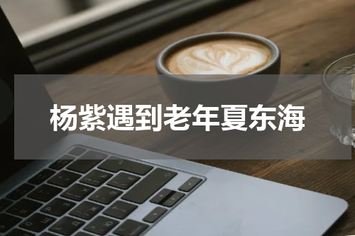 杨紫遇到老年夏东海