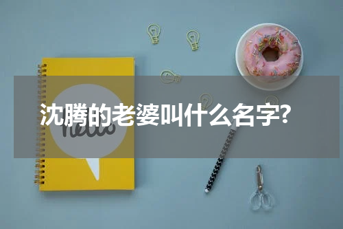 沈腾的老婆叫什么名字?