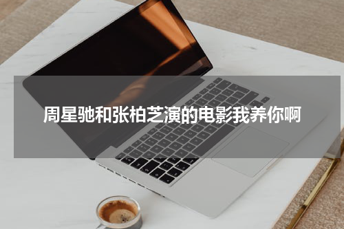 周星驰和张柏芝演的电影我养你啊
