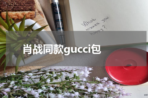 肖战同款gucci包