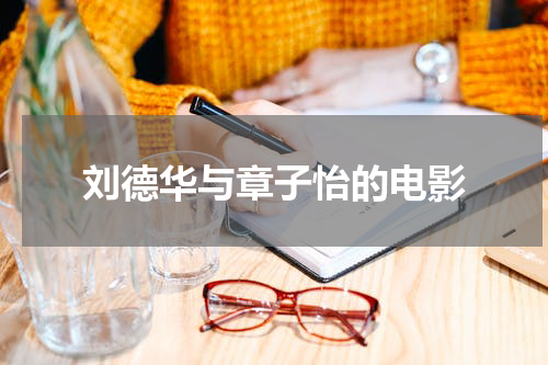刘德华与章子怡的电影