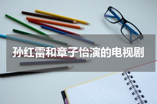 孙红雷和章子怡演的电视剧