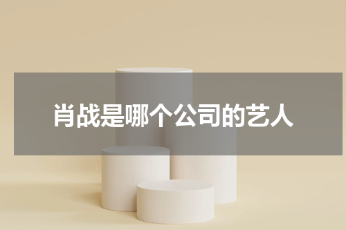 肖战是哪个公司的艺人