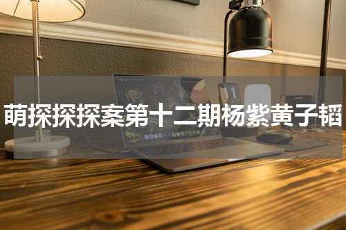 萌探探探案第十二期杨紫黄子韬