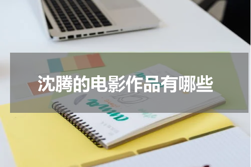 沈腾的电影作品有哪些