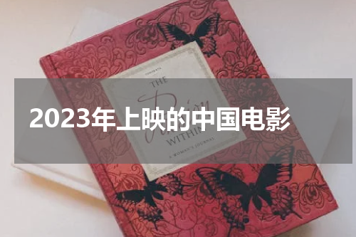 2023年上映的中国电影