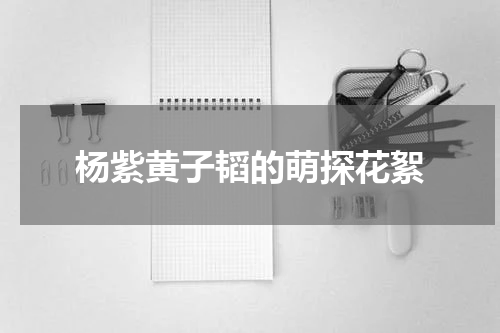 杨紫黄子韬的萌探花絮