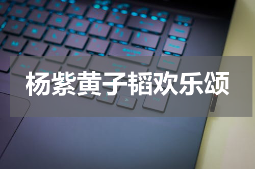 杨紫黄子韬欢乐颂